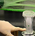 Hand pointing at tube in lab