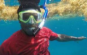student snorkeling in clear blue water