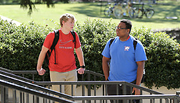 Two male students standing on stairs outside talking.