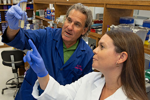 Two scientists in lab coats work in the lab