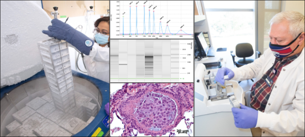 USA Health Biobank and Histology Core Facility Representation Picture