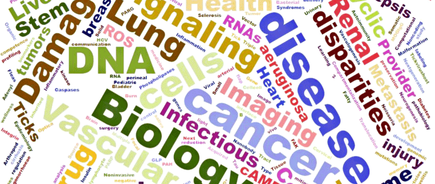 Word Cloud Image of Research Interests