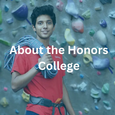 About the Honors College
