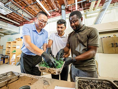 Paving the Way for Green Asphalt