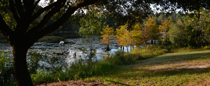 Glenn Sebastian Nature Trail with lake.