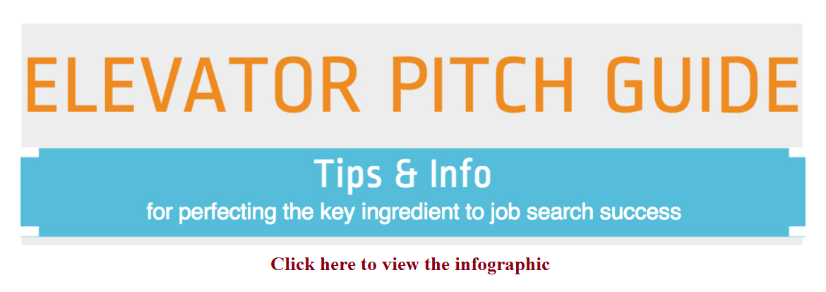 Elevator Pitch Infographic