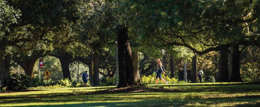 Students walking on sidewalk outside on campus surrounded by trees.