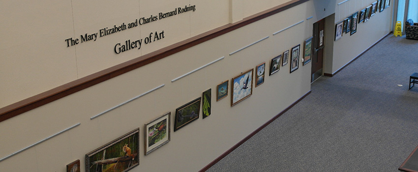 Library Art Gallery