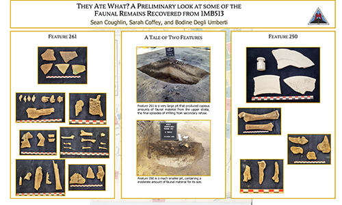 They ate what? A preliminary look at some of the Faunal Remains recovered from 1MB513