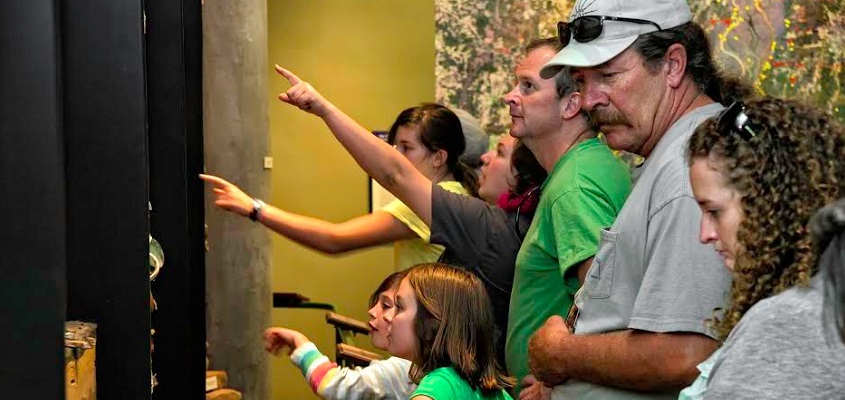 children and adults viewing artifacts on display in museum